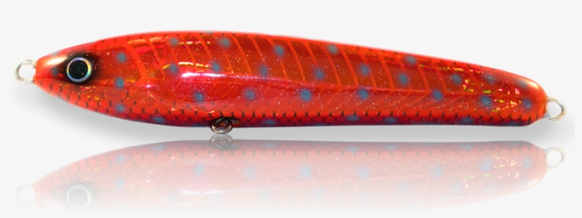 Walker White Walker - Sardine, transparent png download