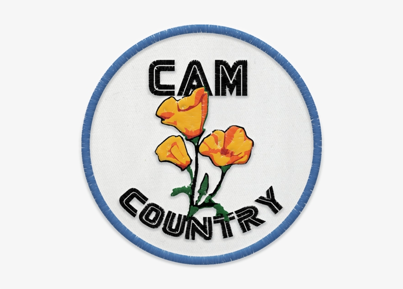 Shopping, transparent png download