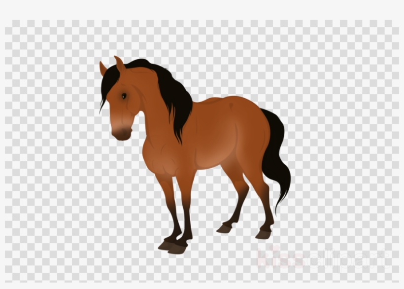 Captain America Shield Png Clipart United States Of - Dart Target Transparent Background, transparent png download