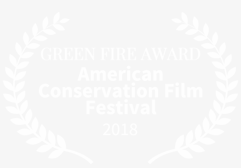 Our Films - West Yorkshire Spinners Mallard Signature 4 Ply Yarn, transparent png download