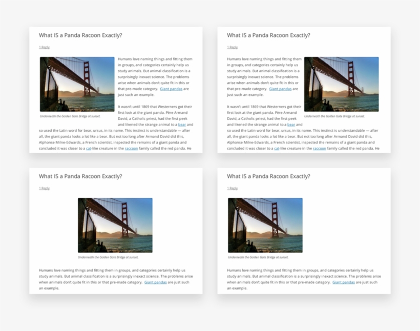 Image Alignment 4up - Wordpress Alignment Post, transparent png download