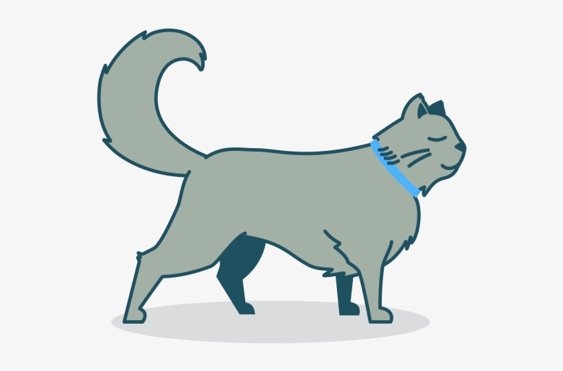 I Have A - Dog Catches Something, transparent png download