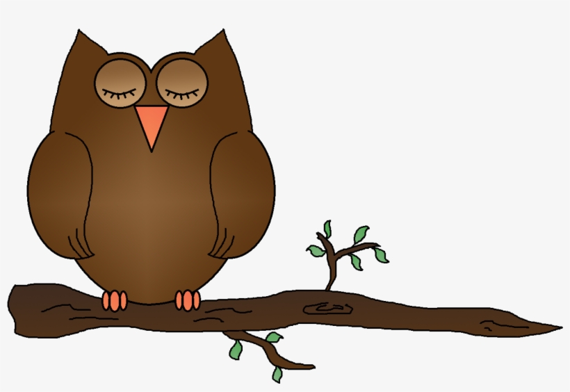 Owl - Clip Art Sleeping Owl, transparent png download