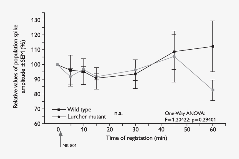 Comparison Of Relative Values Of The Amplitude Size - Diagram, transparent png download