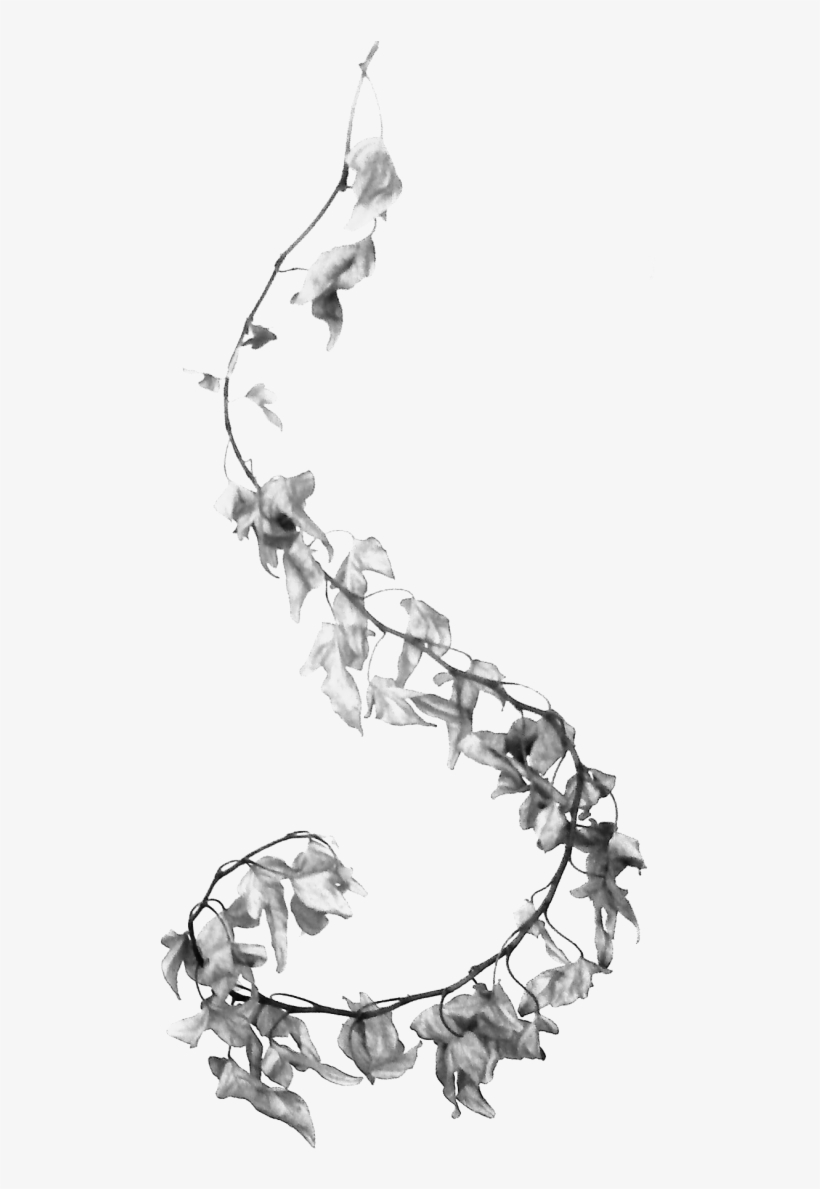 Dark-flower - Net - - Sketch, transparent png download