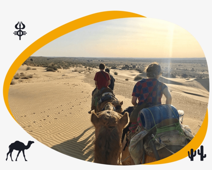 Tour Highlights - Camel Safari, transparent png download