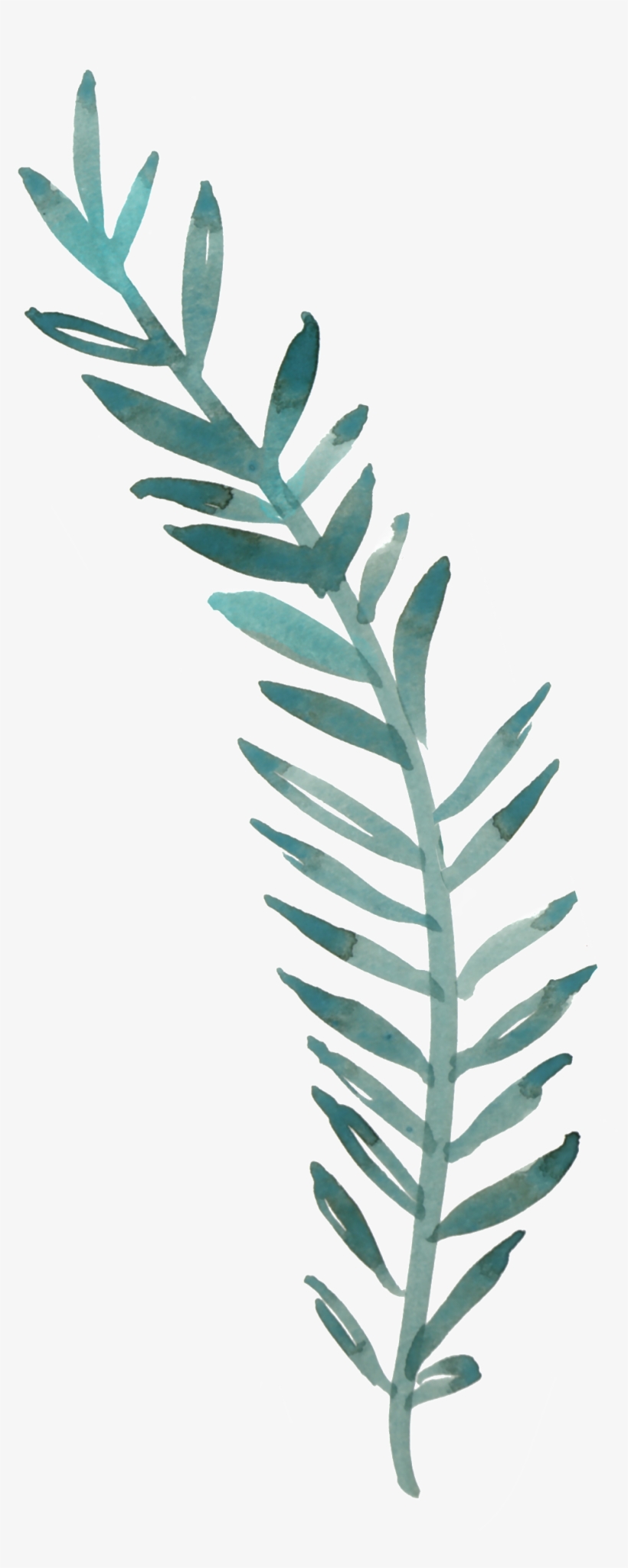 Lush Hand Painted Flowers Transparent Decorative - Painting, transparent png download