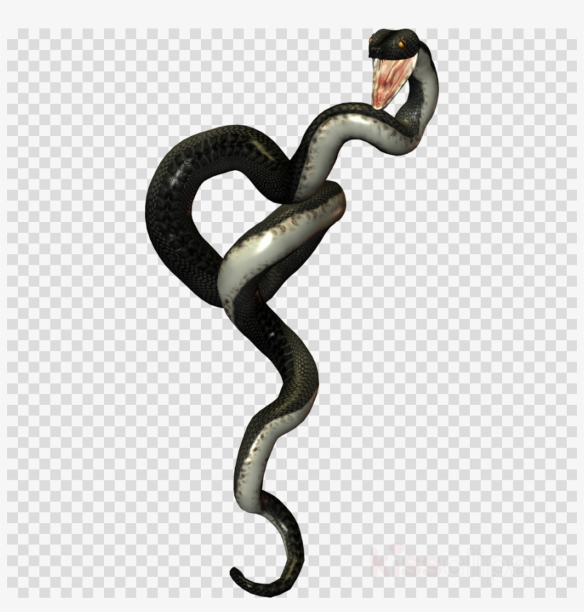 Download Serpientes Png Clipart Snakes Reptile Vipers - Desserts Als Buch Von Edeltraud Willjung, transparent png download