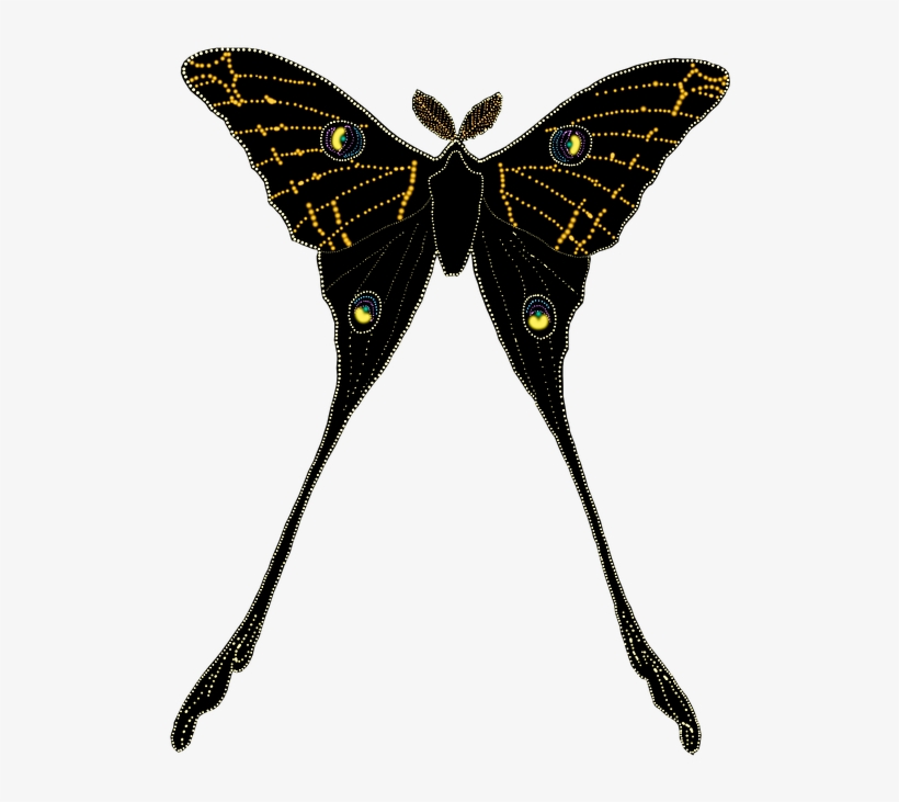 Animal, Butterfly, Insect, Isolated, Silhouette - Butterfly, transparent png download