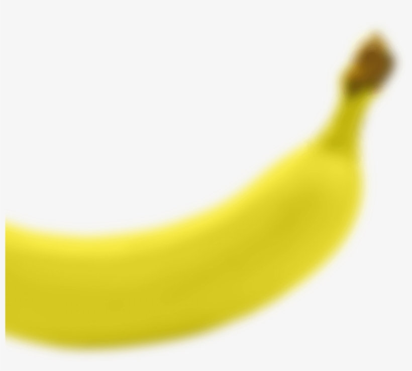 We Have Been Sharing Our Love Of Excellence With You - Macro Photography, transparent png download