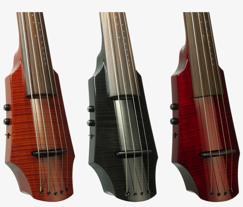Features - Bass Guitar, transparent png download