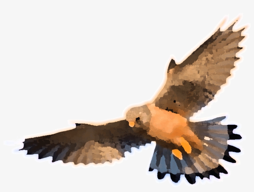 Soak In The Hot Tub For Evening Views Or Night Time - Costa Del Sol, transparent png download