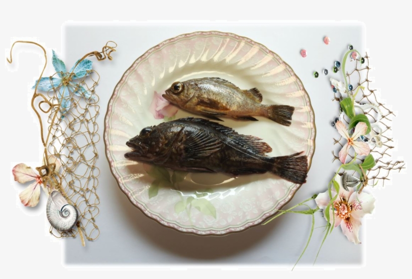 I Thought I'd Show You "cooked Fish" - Html, transparent png download