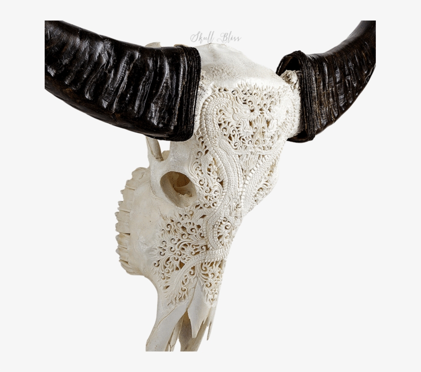 Carved Buffalo Skull - Skull, transparent png download