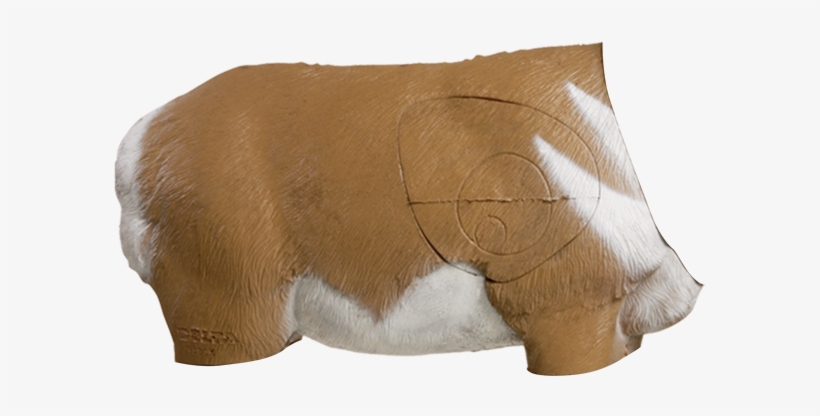 Antelope 3d Archery Target Replacement Body - 3d Archery Target, transparent png download