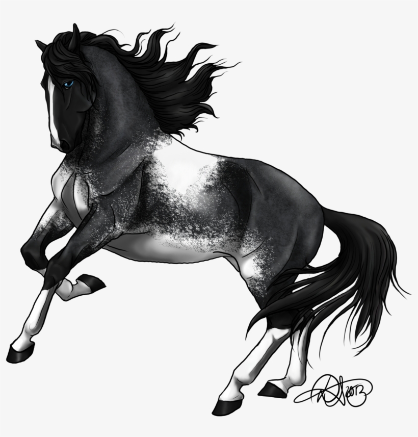 Appearance - Andalusian Horse, transparent png download