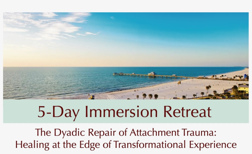Aedp Immersion Winter - Florida, transparent png download