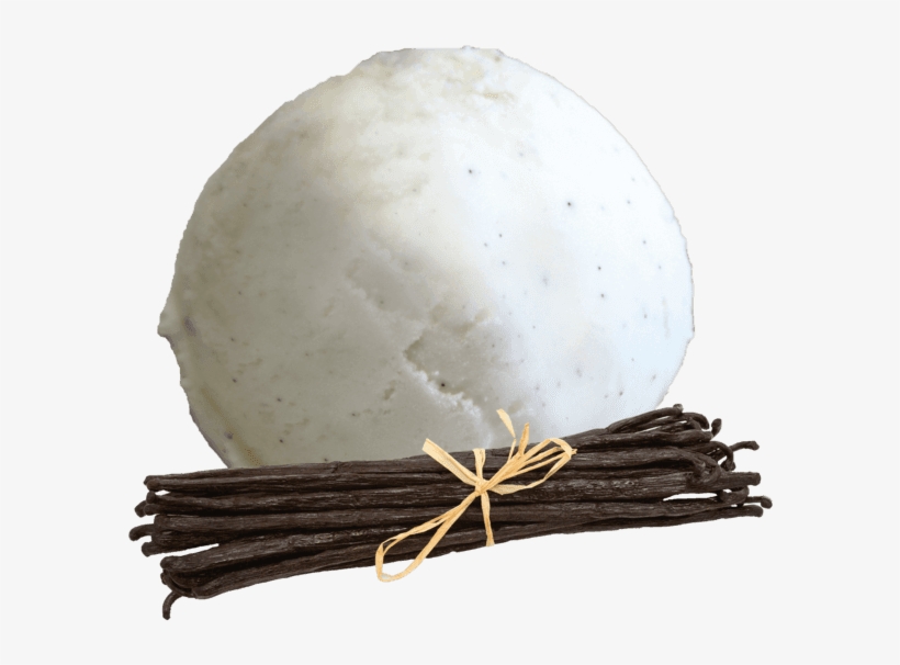 Vanilla Pod - Wood, transparent png download