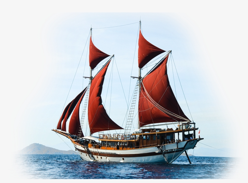 What You Can Expect On Board Tiaré - Tiare Liveaboard Indonesia, transparent png download