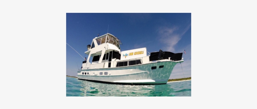 Fast Speed Boat Allows You To See Stingray City And - Yacht, transparent png download