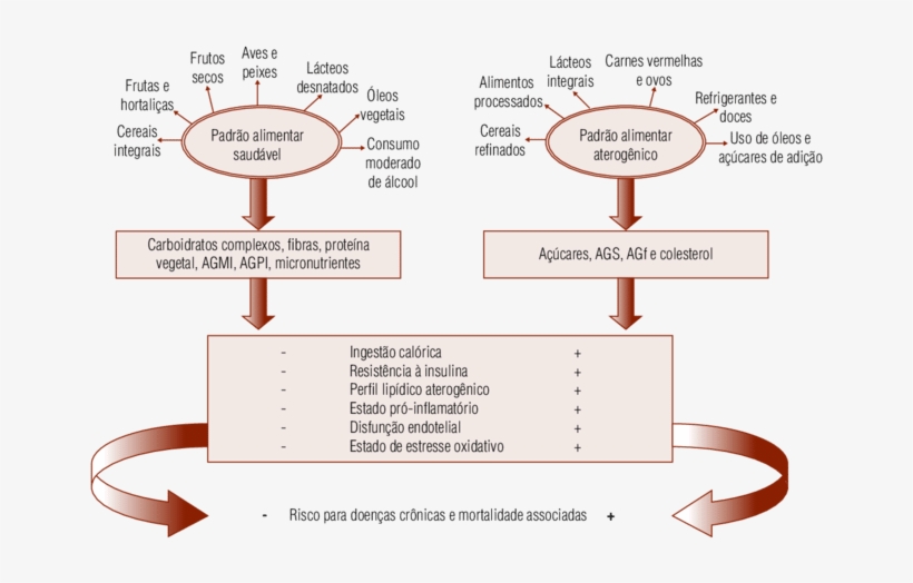 Efeitos Potenciais Da Adoção De Padrões Alimentares - Food, transparent png download