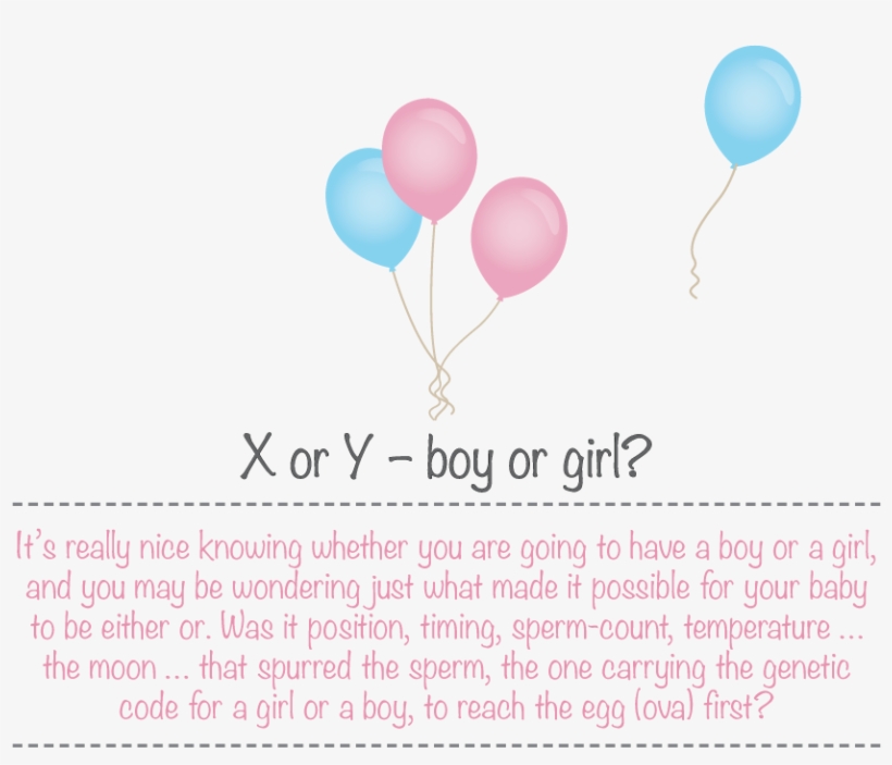 It All Depends On The Cervix The 'mouth' At The Bottom - Balloon, transparent png download