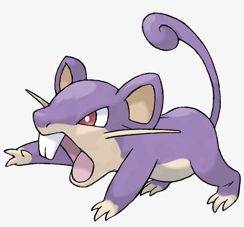 Spouting - Pokemon Rattata, transparent png download