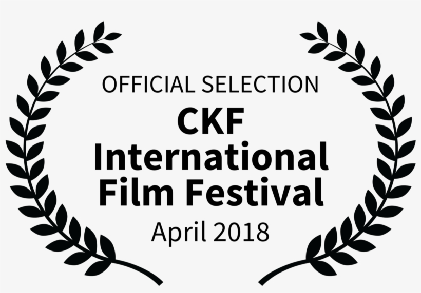 Ckf International Film Festival 2018 Update - Crazy Cat Lady Yard Sign, transparent png download