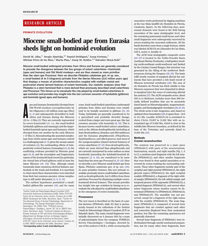 Goose Tower In Vordingborg, Zealand, transparent png download