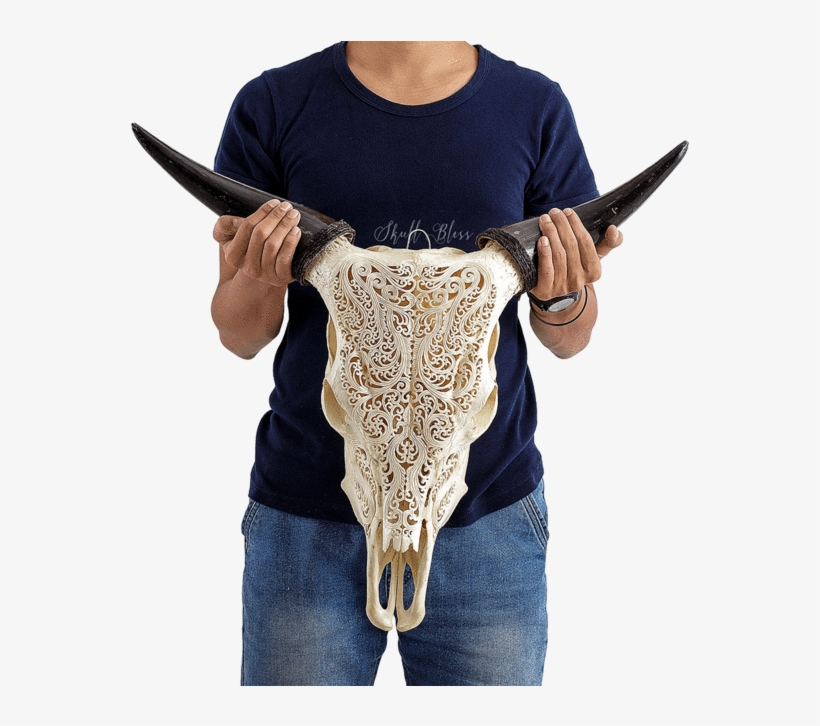 Carved Cow Skull - Horn, transparent png download