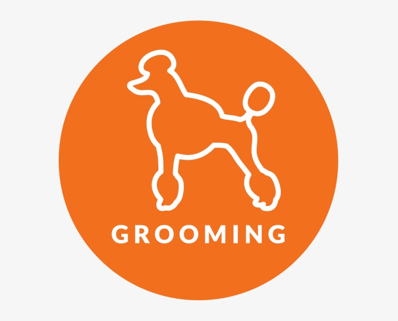 Doesn't Your Dog Deserve Their Best Life - Lexington Green Lakeside Live, transparent png download