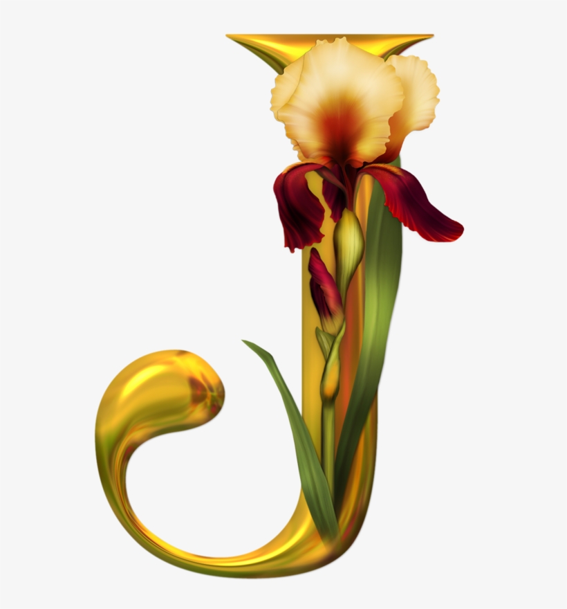 J Fundos, Monogramas, Algumas Palavras, Papeis De Parede, - J Images With Flower, transparent png download
