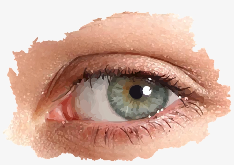 Vector Graphics,free Pictures, Free - Eye, transparent png download