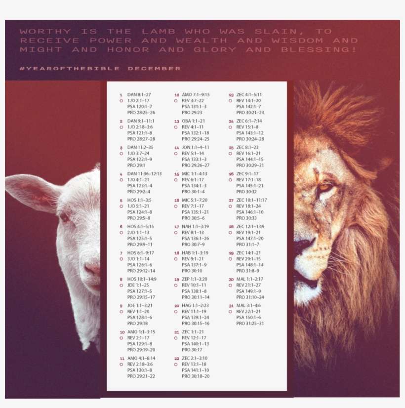 Bookmark Web - 2018 2019 Agenda Scolaire Animal, transparent png download