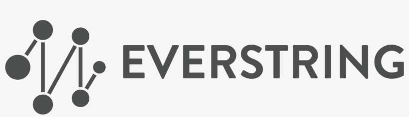 Dayna Authored The Book Lead Generation For Dummies - Everstring Logo Png, transparent png download