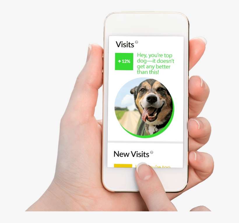 The Easiest And Most Enjoyable Way To See Your Website - Dog Breath Freshener - Spray Me: Doggy Dental Spray, transparent png download