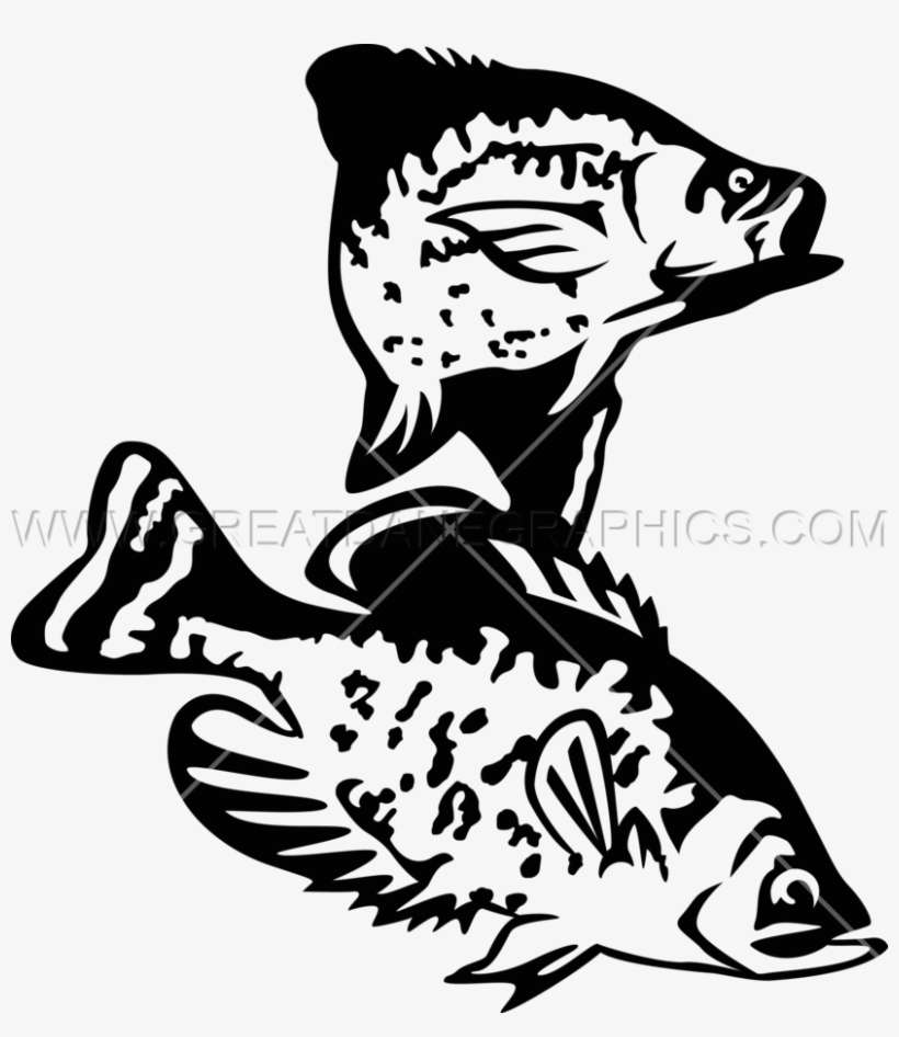 Crappie Drawing At Getdrawings - Crappie Illustration Black And White, transparent png download