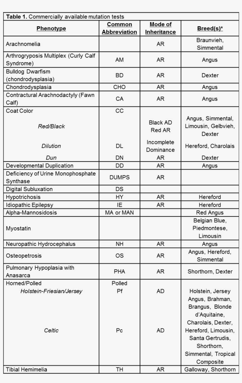 List Of Commercially Available Mutation Tests, Including - Genetic Testing, transparent png download