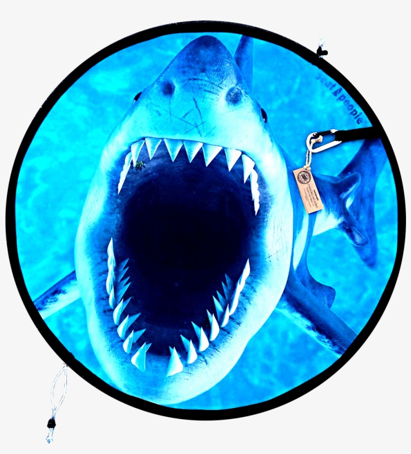 Jaws - Great White Shark, transparent png download