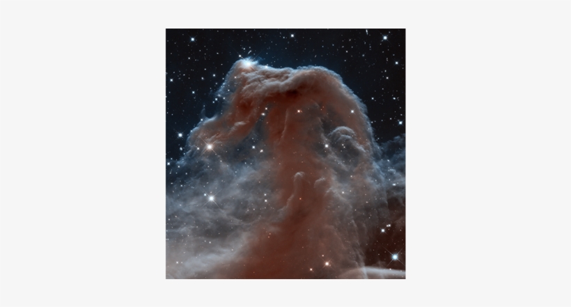 Horsehead Nebula - Close Up Of Stars, transparent png download