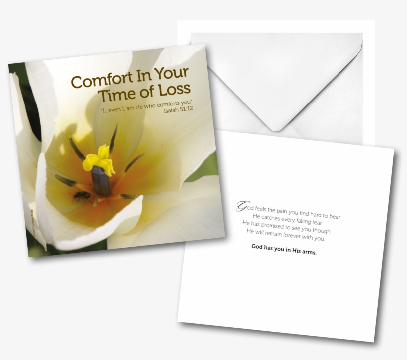Hope & Healing Cards Pack - Austrian Briar, transparent png download