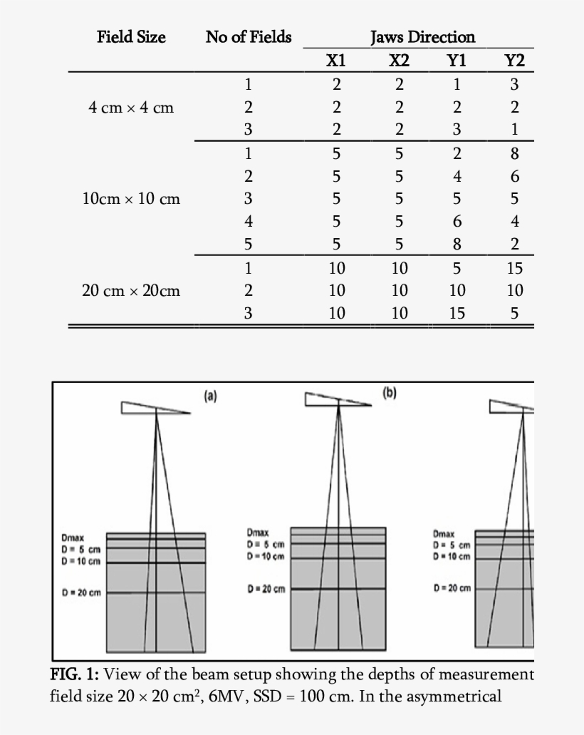 Symmetric And Asymmetric Field Sizes For Jaws Direction - Jaws, transparent png download