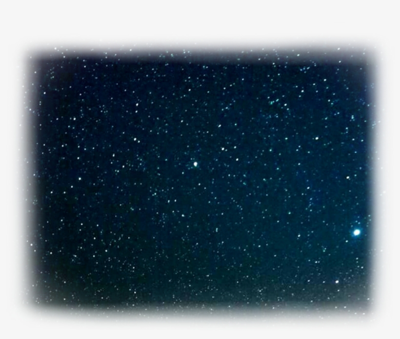 Report Abuse - Star, transparent png download