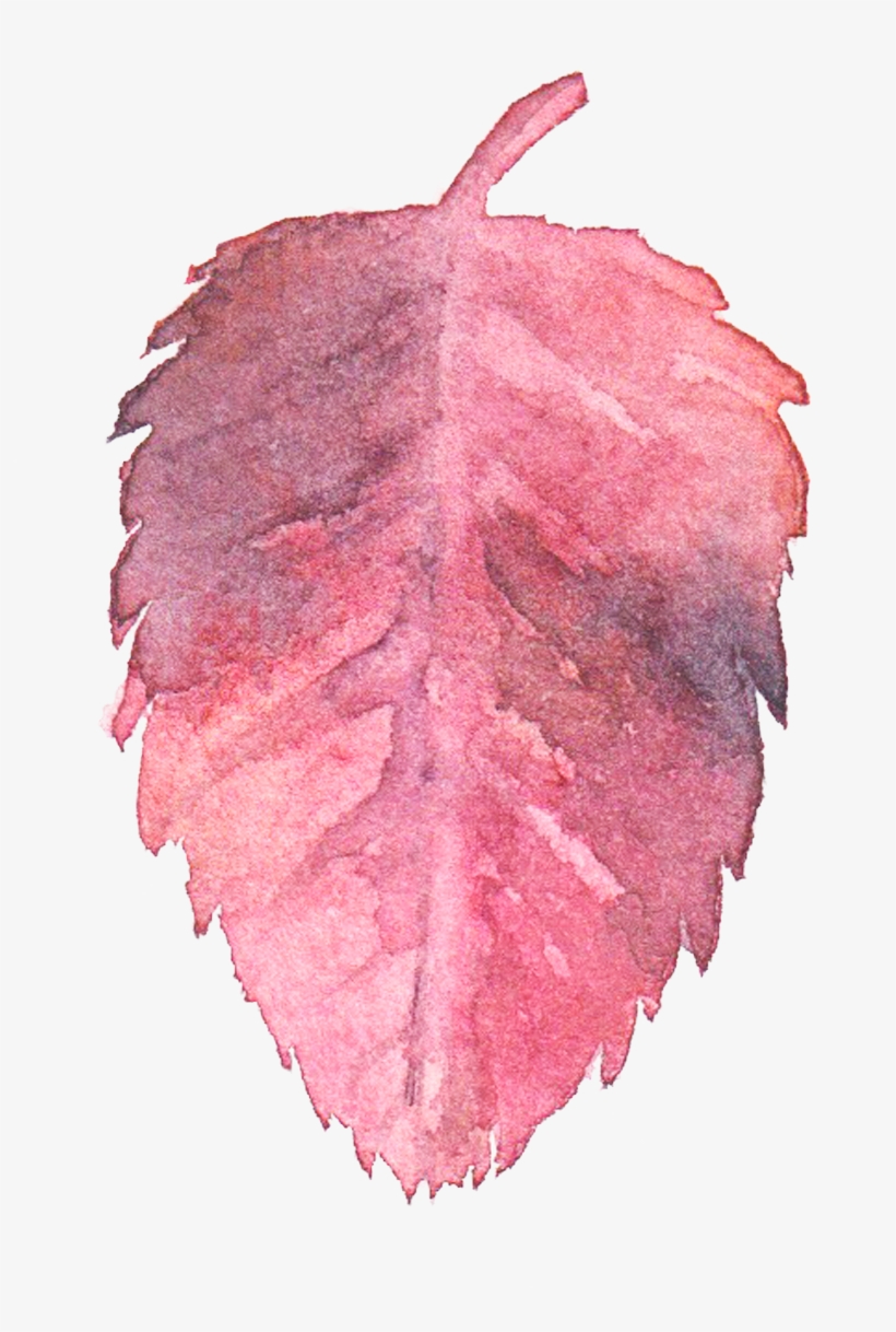 Transparent Watercolor Watercolor - Pink Watercolor Transparent, transparent png download