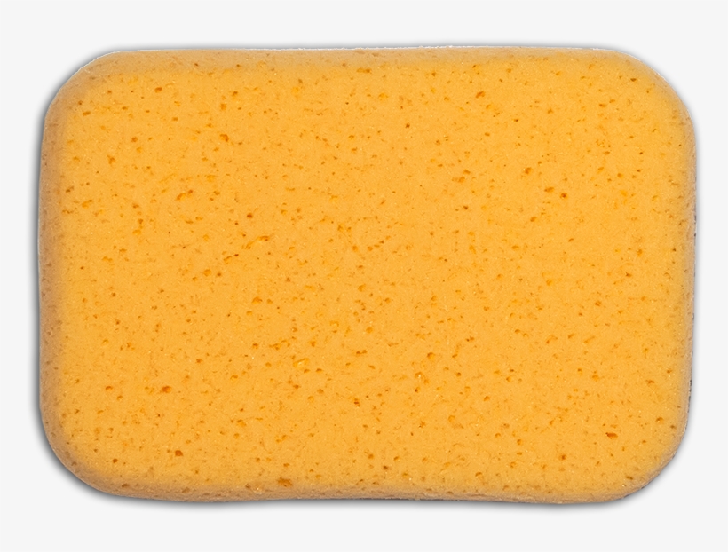 Sponge Leash - Tutti Frutti, transparent png download