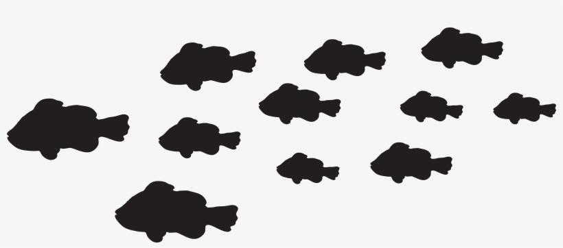 Fishes Png, transparent png download