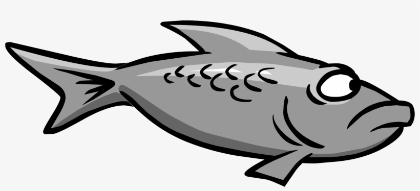 Grey Fish Swimming - Grey Fish, transparent png download