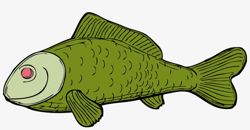 Free Stock Photo - Green Fish Shower Curtain, transparent png download