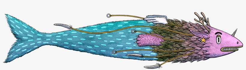 Fish, transparent png download