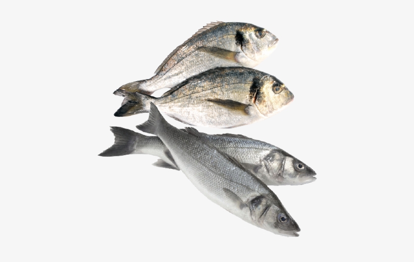 Fresh Fish - Manual De Alimentación. Planificación Alimentaria, transparent png download